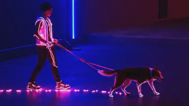 Walking and Medication Combined? Dog-Exclusive 'Medicine-Infused Sneakers' Released - Style 3