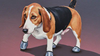 Walking and Medication Combined? Dog-Exclusive 'Medicine-Infused Sneakers' Released - Style 9