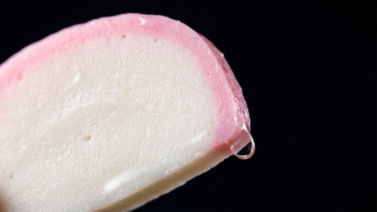 Thesis on "The Springiness of Kamaboko" Gets Hollywood Trilogy Adaptation. Lead Role Goes to "Bounciness" Itself, Now Frontrunner for Academy Award
