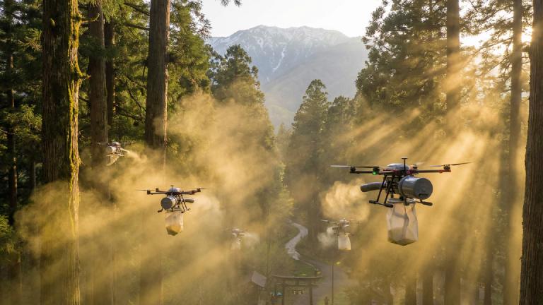 Sneeze Power Commercialized, Cedar Pollen Skyrockets to 'Green Oil'; Citizens Inhaling Pollen for Heat Overheat and Glow