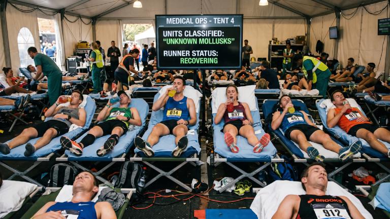 AI Says 'Bipedal Locomotion Impossible With This Muscle Mass': 10,000 Marathon Participants Placed Under Emergency Protection as 'Unknown Soft-Bodied Creatures'