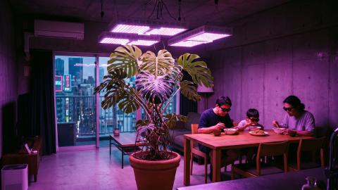 Smart Houseplants Demote Humans to "Mobile CO2 Servers": Living Rooms Forcibly Converted into Plant Cultivation Factories at Night